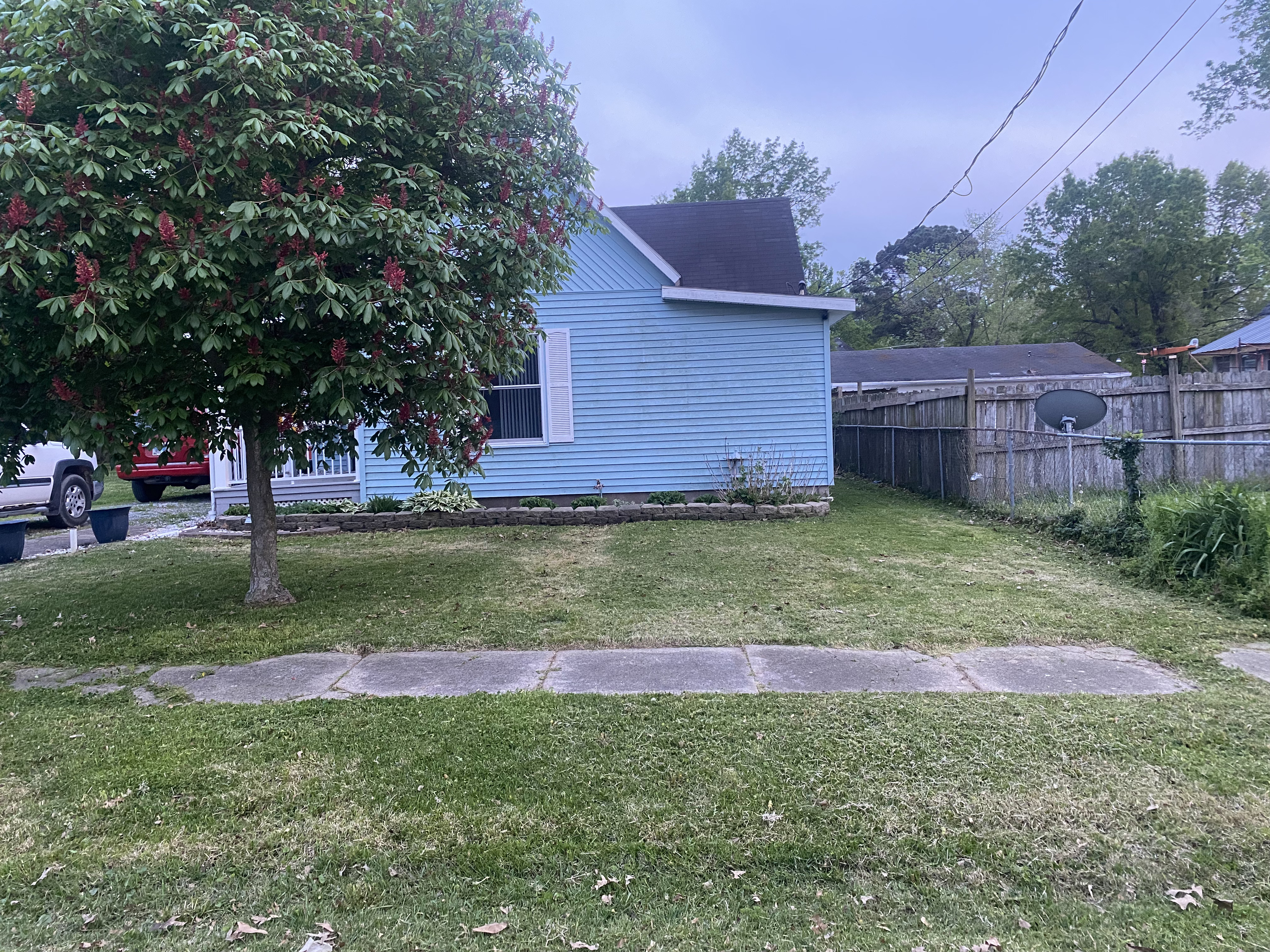 Clean mowed lawn and cleared weeds after service