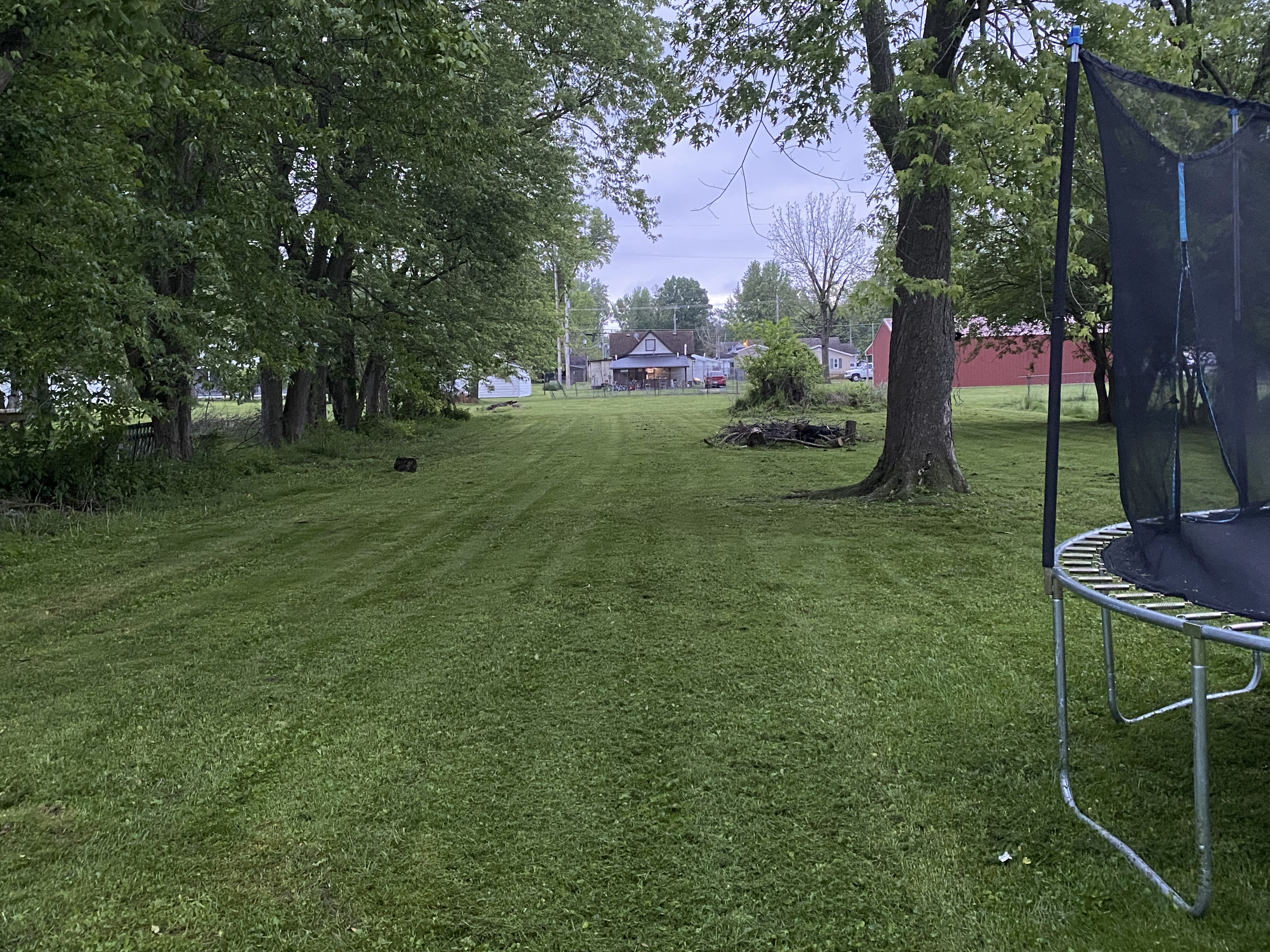 Completed lawn care job — clean mowed yard