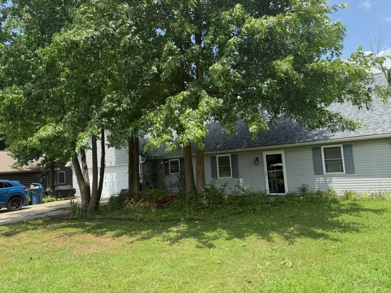 Lawn before cleanup and landscaping work