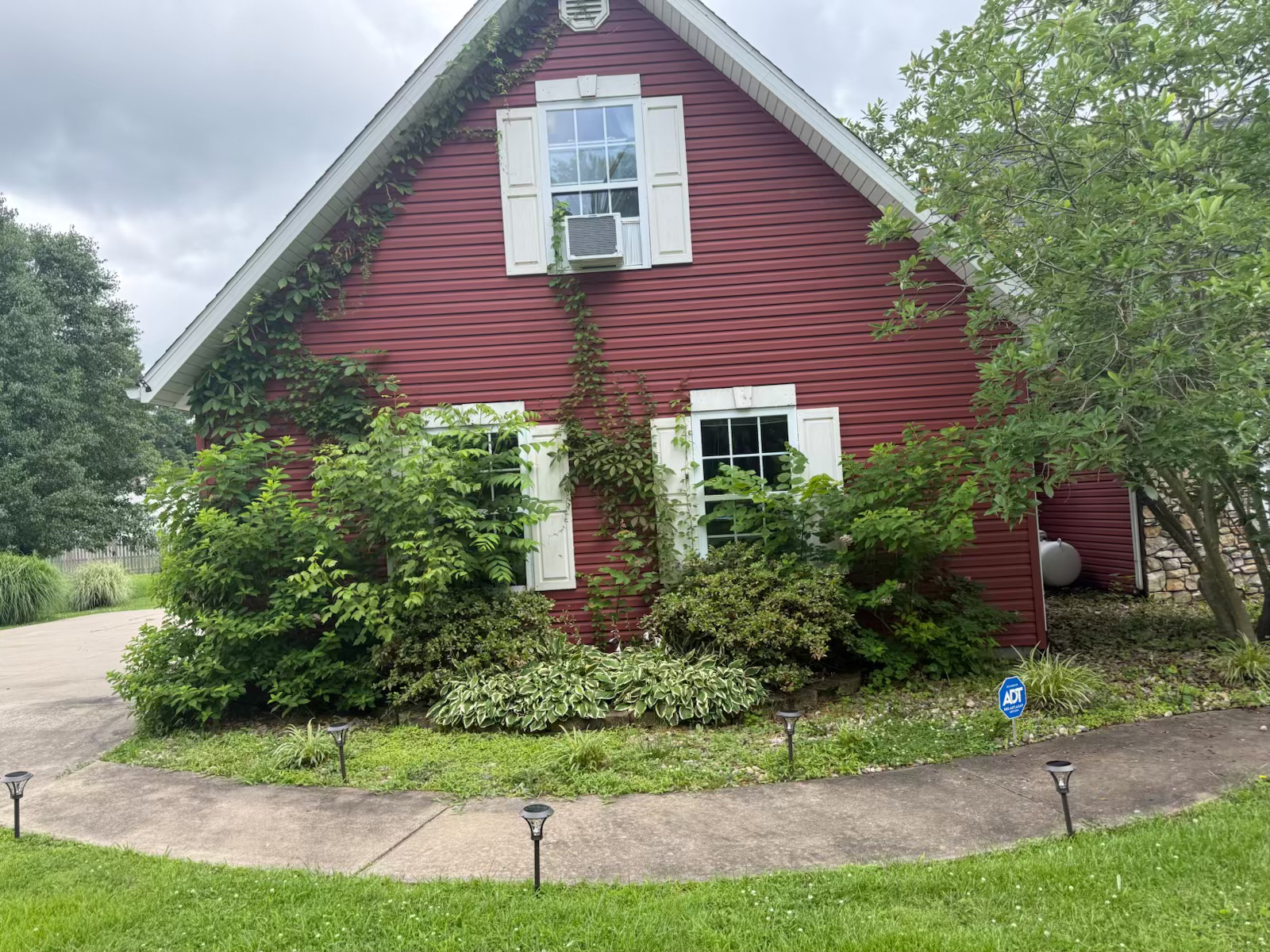 Red house exterior with vines and overgrown shrubs covering windows before cleanup