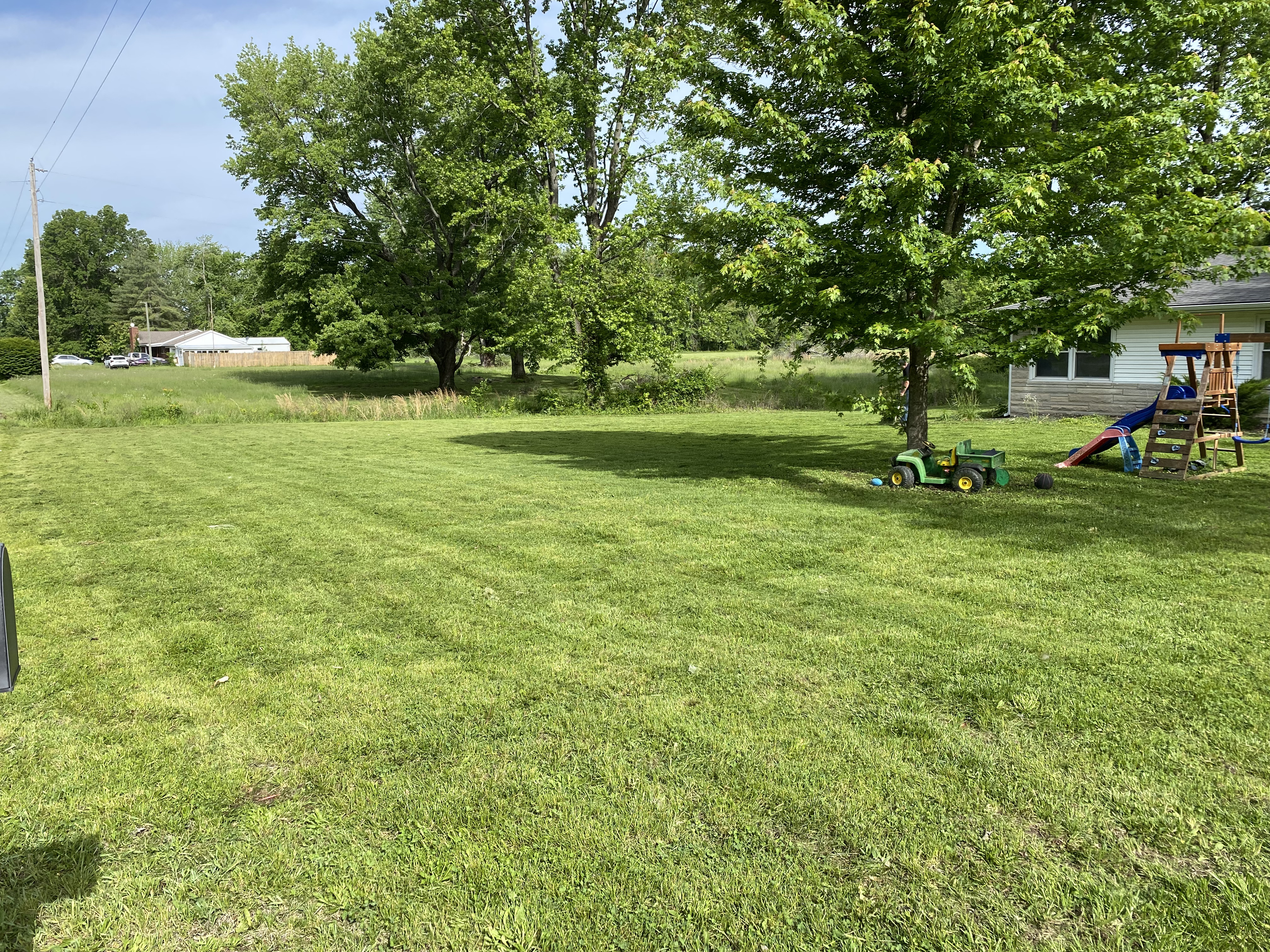 Same yard freshly mowed — clean, even cut throughout