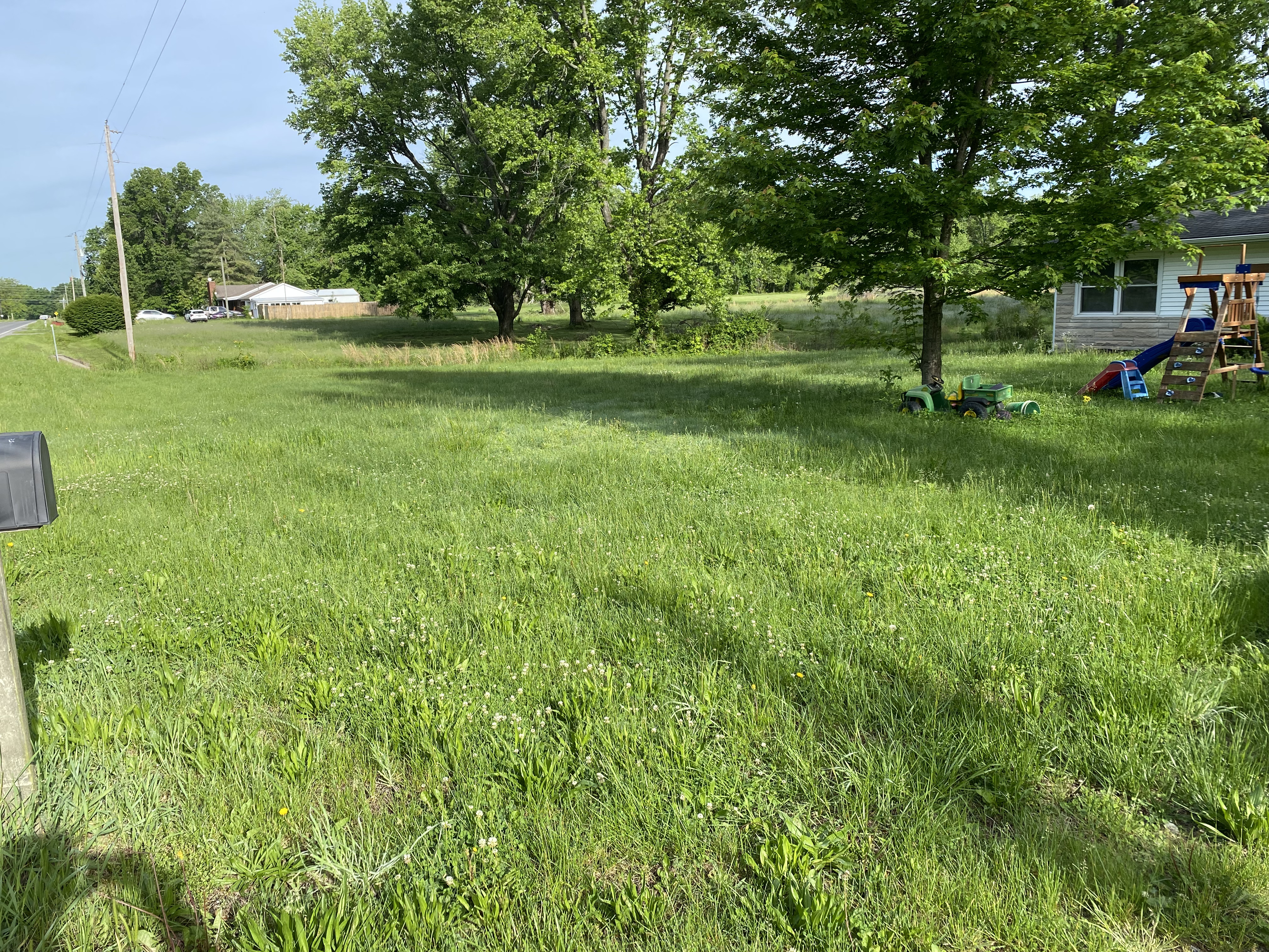 Overgrown lawn with tall uneven grass and weeds before mowing
